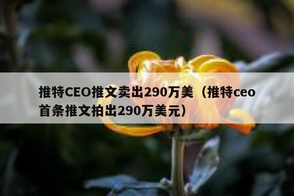 推特CEO推文卖出290万美（推特ceo首条推文拍出290万美元） 第1张