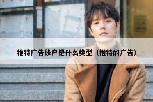 推特广告账户是什么类型（推特的广告） 第1张