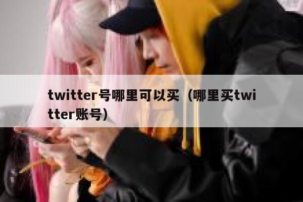 twitter号哪里可以买（哪里买twitter账号） 第1张