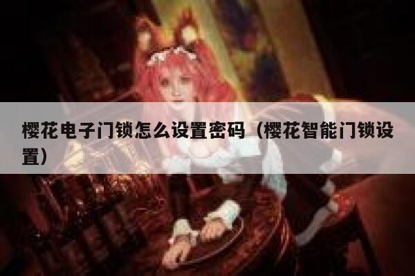 樱花电子门锁怎么设置密码（樱花智能门锁设置） 第1张