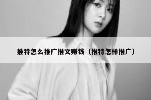 推特怎么推广推文赚钱（推特怎样推广） 第1张