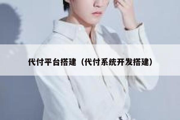 代付平台搭建（代付系统开发搭建） 第1张