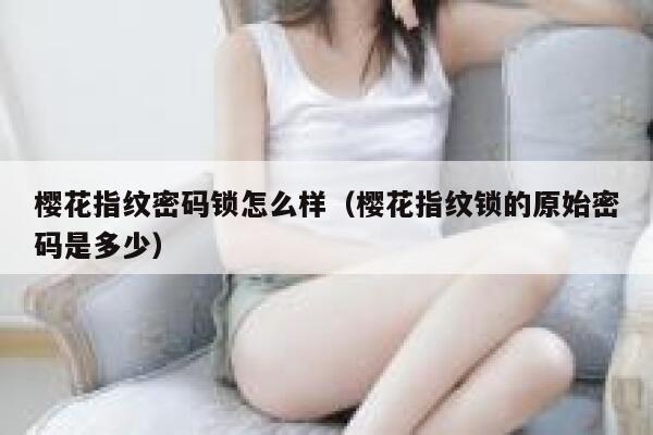 樱花指纹密码锁怎么样（樱花指纹锁的原始密码是多少） 第1张