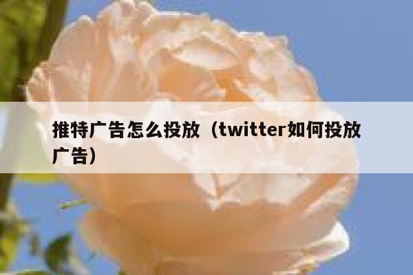 推特广告怎么投放(twitter如何投放广告) 第1张 推特广告怎么投放(twitter如何投放广告) 第1张