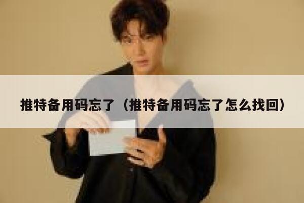 推特备用码忘了（推特备用码忘了怎么找回） 第1张