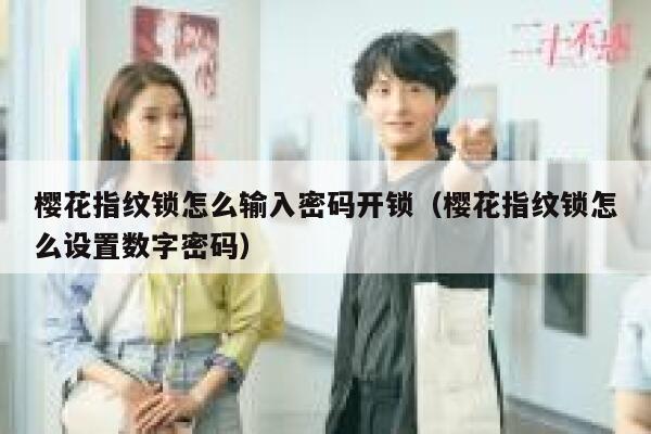 樱花指纹锁怎么输入密码开锁（樱花指纹锁怎么设置数字密码） 第1张