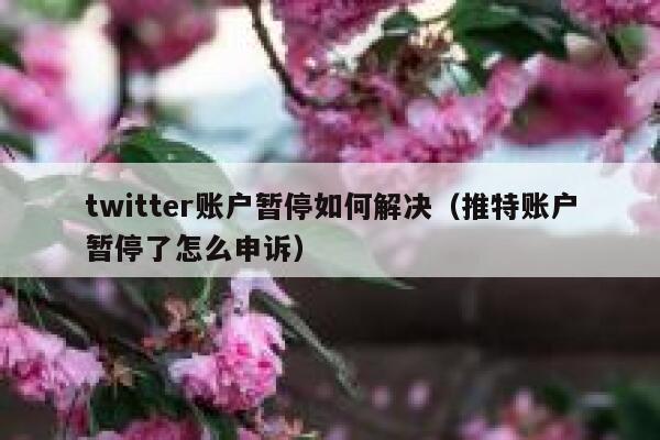 twitter账户暂停如何解决（推特账户暂停了怎么申诉） 第1张