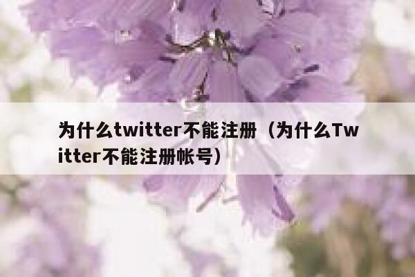 为什么twitter不能注册（为什么Twitter不能注册帐号） 第1张