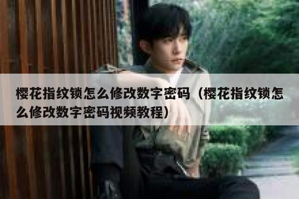 樱花指纹锁怎么修改数字密码（樱花指纹锁怎么修改数字密码视频教程） 第1张