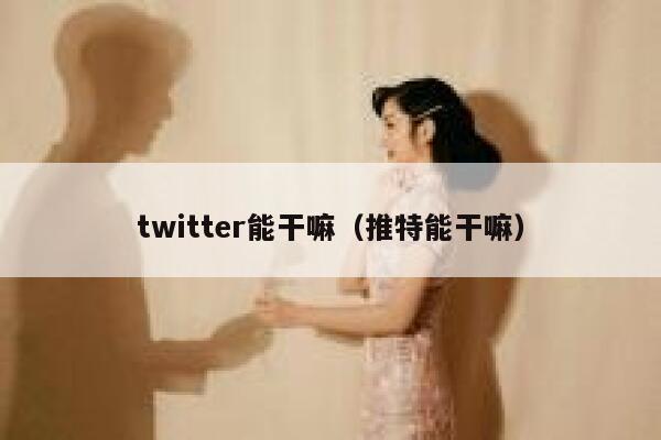 twitter能干嘛（推特能干嘛） 第1张