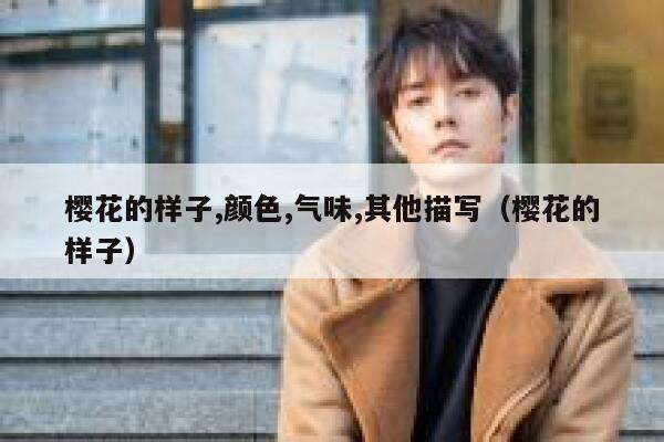 樱花的样子,颜色,气味,其他描写(樱花的样子) 第1张 樱花的样子,颜色,气味,其他描写(樱花的样子) 第1张