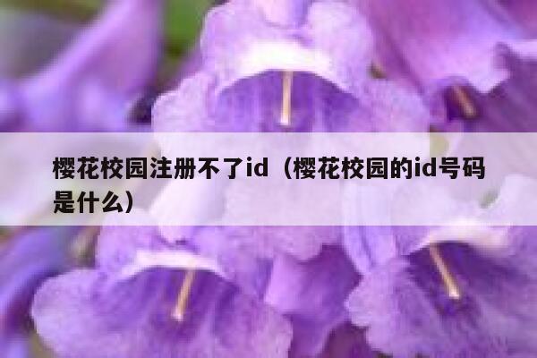樱花校园注册不了id（樱花校园的id号码是什么） 第1张
