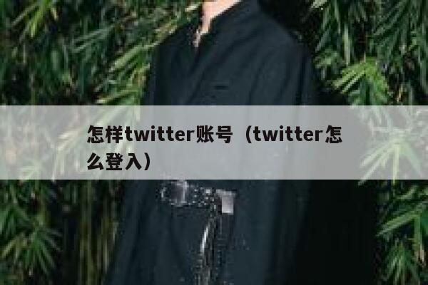 怎样twitter账号（twitter怎么登入） 第1张