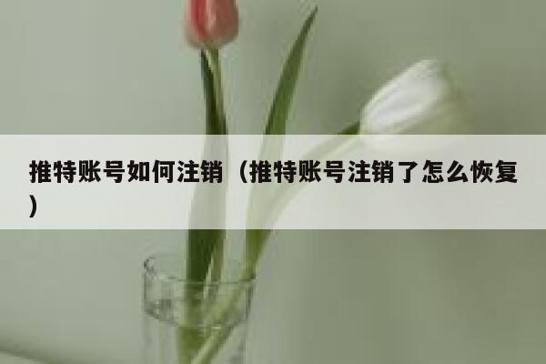 推特账号如何注销（推特账号注销了怎么恢复） 第1张
