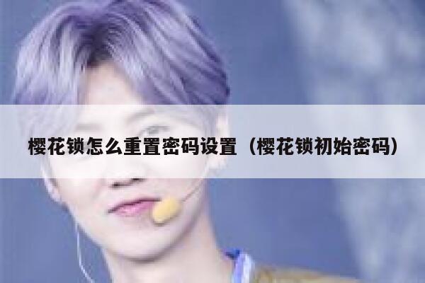 樱花锁怎么重置密码设置（樱花锁初始密码） 第1张