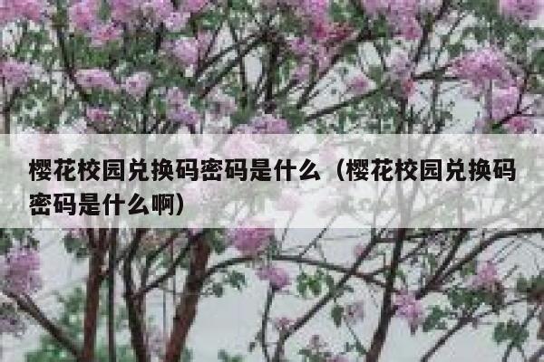 樱花校园兑换码密码是什么（樱花校园兑换码密码是什么啊） 第1张
