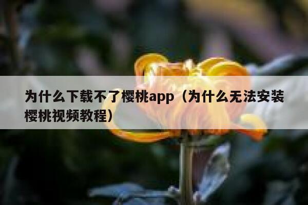 为什么下载不了樱桃app（为什么无法安装樱桃视频教程） 第1张