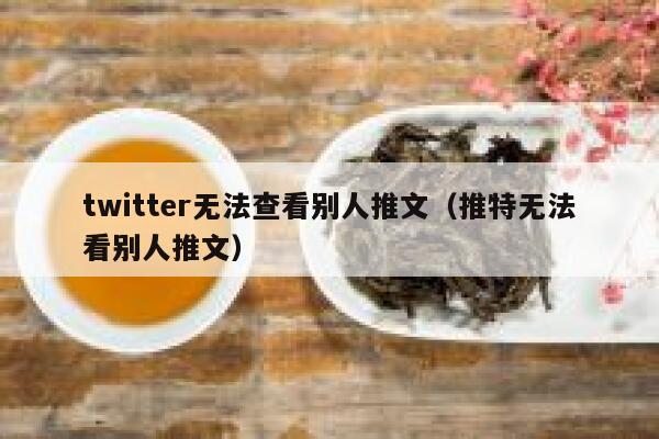 twitter无法查看别人推文（推特无法看别人推文） 第1张