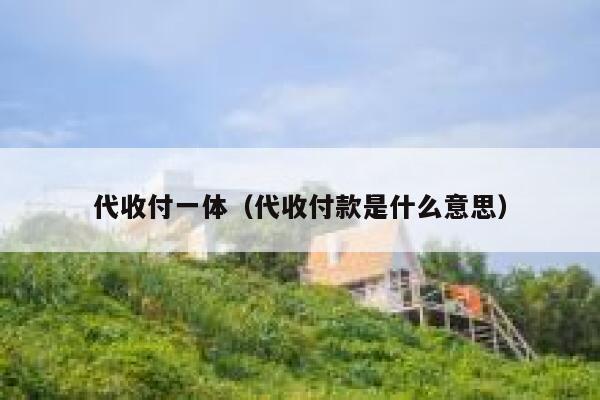 代收付一体（代收付款是什么意思） 第1张