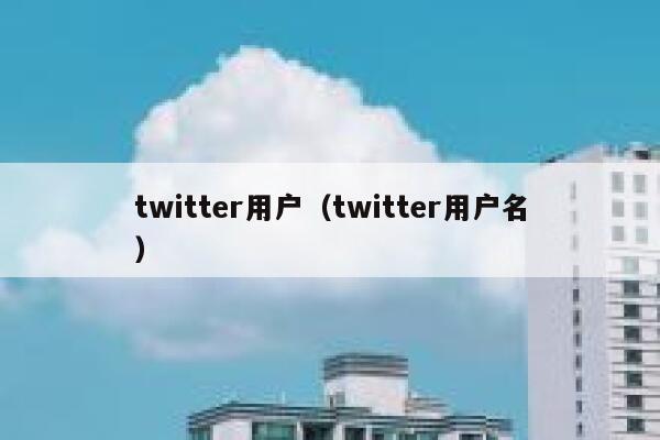 twitter用户（twitter用户名） 第1张