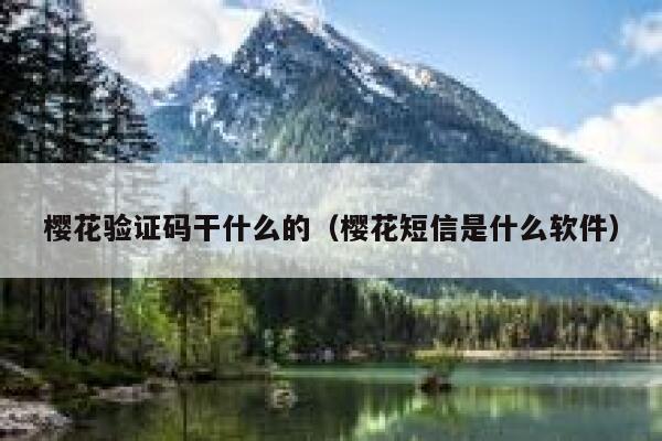 樱花验证码干什么的（樱花短信是什么软件） 第1张