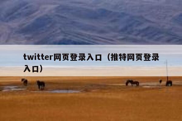 twitter网页登录入口（推特网页登录入口） 第1张