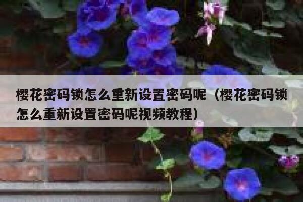 樱花密码锁怎么重新设置密码呢（樱花密码锁怎么重新设置密码呢视频教程） 第1张