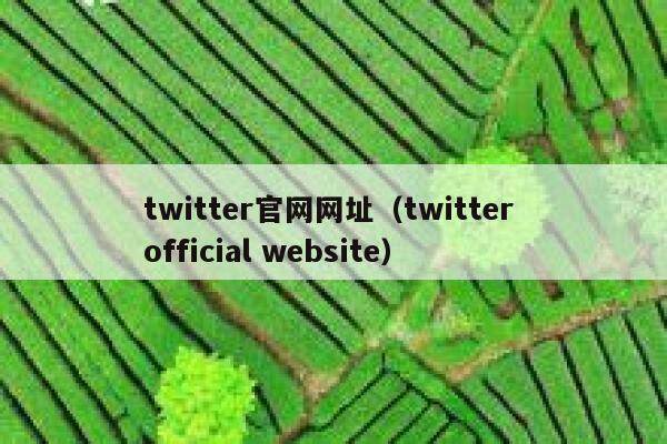 twitter官网网址（twitter official website） 第1张
