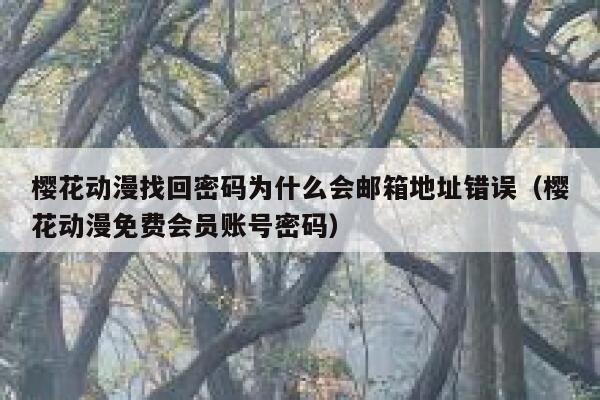 樱花动漫找回密码为什么会邮箱地址错误（樱花动漫免费会员账号密码） 第1张