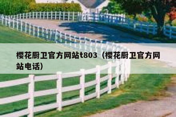 樱花厨卫官方网站t803（樱花厨卫官方网站电话） 第1张