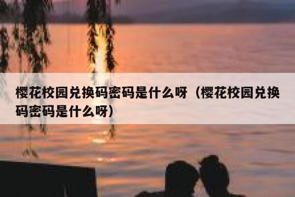 樱花校园兑换码密码是什么呀（樱花校园兑换码密码是什么呀） 第1张