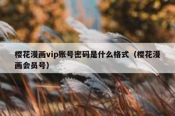 樱花漫画vip账号密码是什么格式（樱花漫画会员号） 第1张