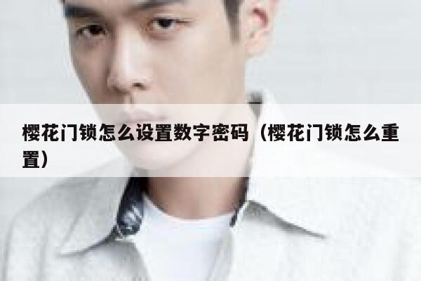 樱花门锁怎么设置数字密码（樱花门锁怎么重置） 第1张
