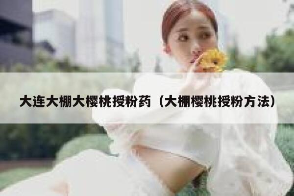 大连大棚大樱桃授粉药（大棚樱桃授粉方法） 第1张