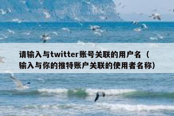 请输入与twitter账号关联的用户名（输入与你的推特账户关联的使用者名称） 第1张