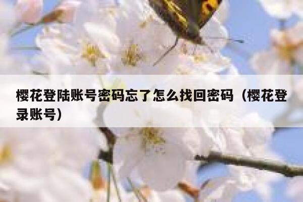 樱花登陆账号密码忘了怎么找回密码（樱花登录账号） 第1张