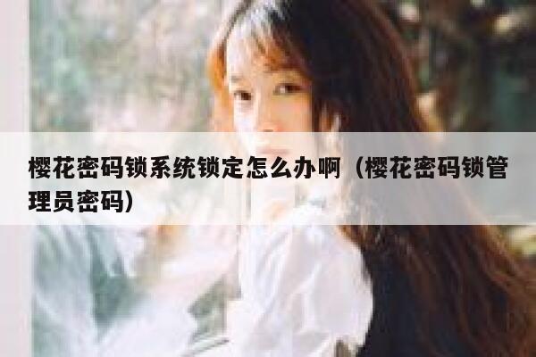 樱花密码锁系统锁定怎么办啊（樱花密码锁管理员密码） 第1张