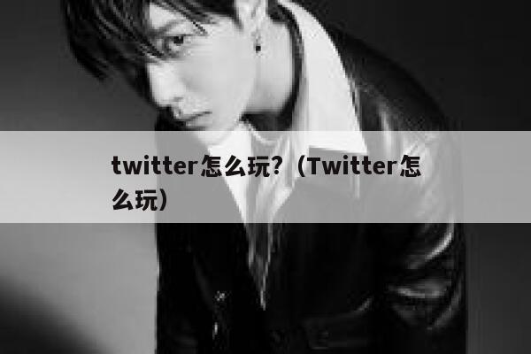 twitter怎么玩?（Twitter怎么玩） 第1张