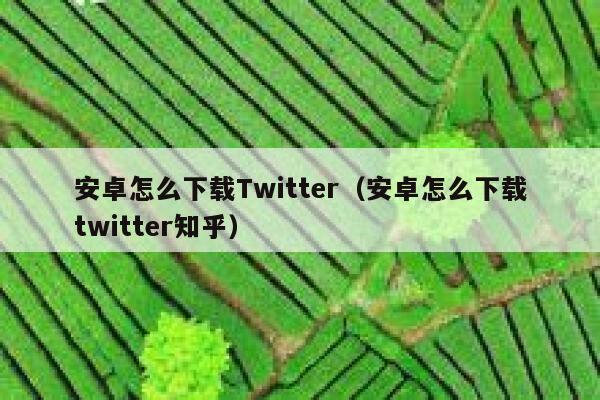 安卓怎么下载Twitter（安卓怎么下载twitter知乎） 第1张