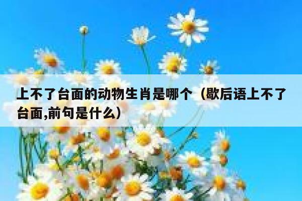 上不了台面的动物生肖是哪个（歇后语上不了台面,前句是什么） 第1张