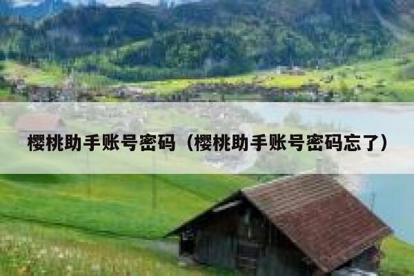 樱桃助手账号密码（樱桃助手账号密码忘了） 第1张