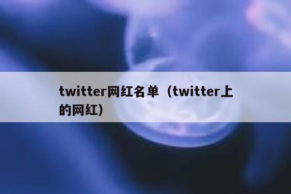 twitter网红名单（twitter上的网红） 第1张