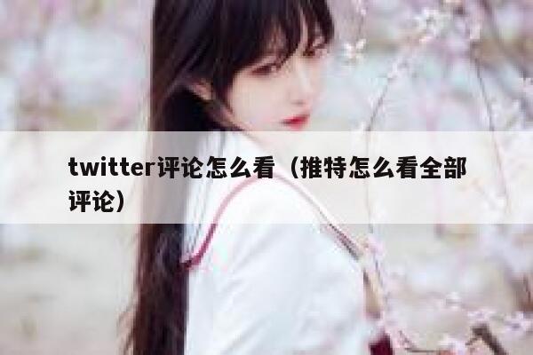twitter评论怎么看（推特怎么看全部评论） 第1张