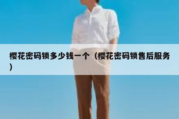 樱花密码锁多少钱一个（樱花密码锁售后服务） 第1张