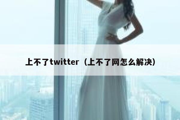 上不了twitter（上不了网怎么解决） 第1张