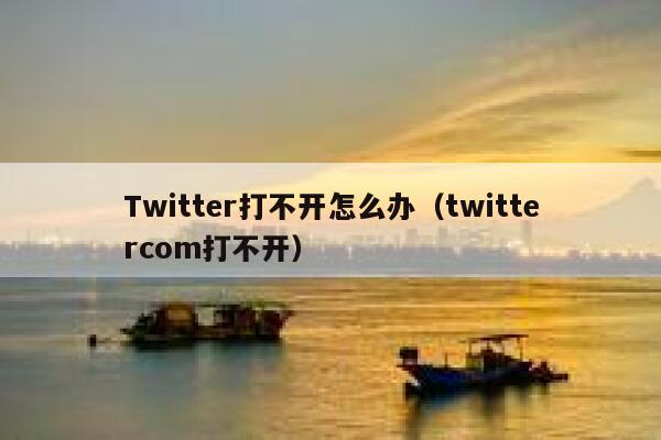 Twitter打不开怎么办（twittercom打不开） 第1张