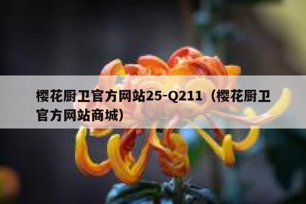 樱花厨卫官方网站25-Q211（樱花厨卫官方网站商城） 第1张