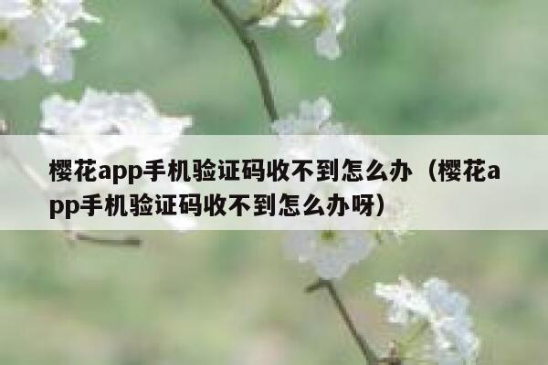 樱花app手机验证码收不到怎么办（樱花app手机验证码收不到怎么办呀） 第1张