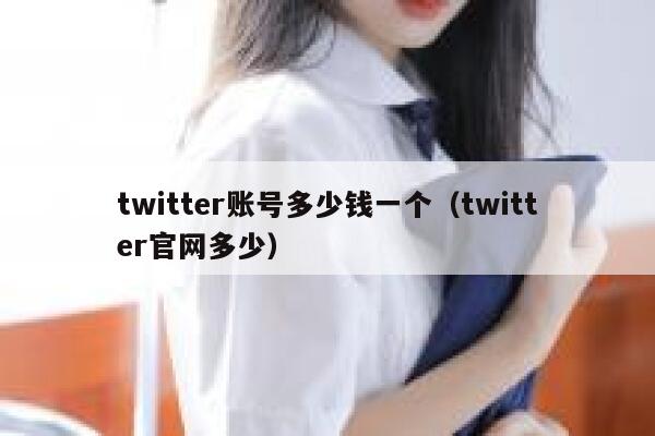 twitter账号多少钱一个（twitter官网多少） 第1张