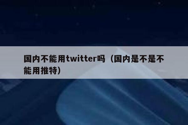国内不能用twitter吗（国内是不是不能用推特） 第1张
